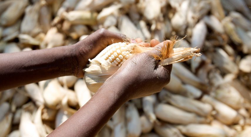 images/News/2021/09/Africa_Food_Security_854x468.jpg#joomlaImage://local-images/News/2021/09/Africa_Food_Security_854x468.jpg?width=854&height=468