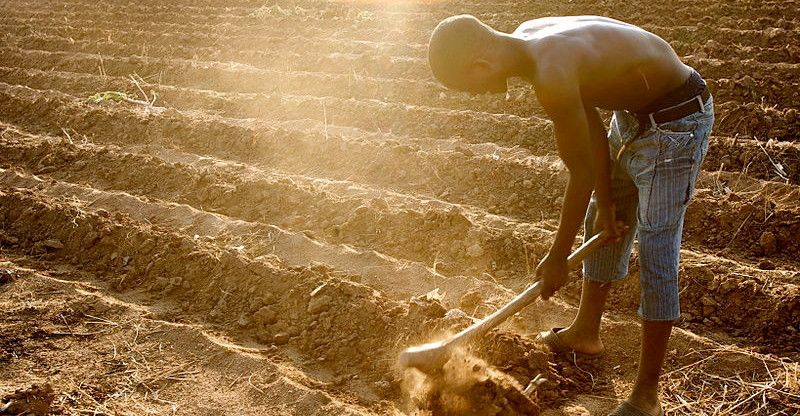 images/News/2021/05/20210517_Africa_Food_Security_15_1000x520.jpg#joomlaImage://local-images/News/2021/05/20210517_Africa_Food_Security_15_1000x520.jpg?width=800&height=416